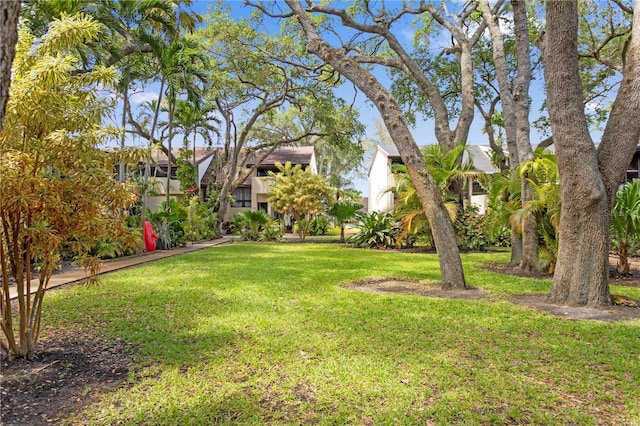 19440 NE 26th Ave Unit 53B, Miami, FL 33180 - view of grassy yard