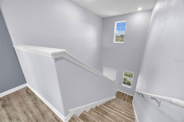582 Royal Empress Dr, Ruskin, FL 33570 - staircase featuring wood finished floors and baseboards