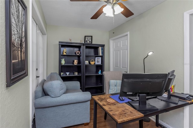 403 Saint Petersburg Dr W, Oldsmar, FL 34677 - photo 23