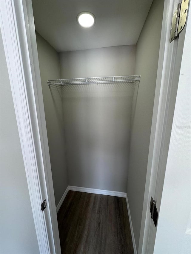 walk in closet featuring dark wood-style flooring
