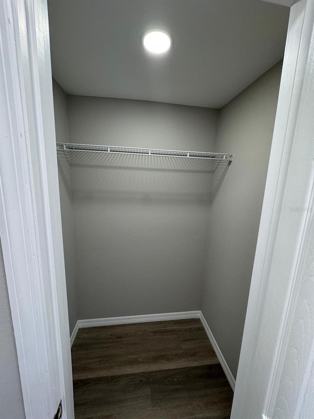walk in closet featuring wood finished floors