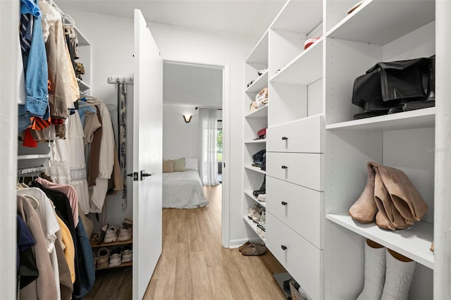 13512 Palmwood Ln Unit 13512, Tampa, FL 33618 - walk in closet with light wood-style flooring