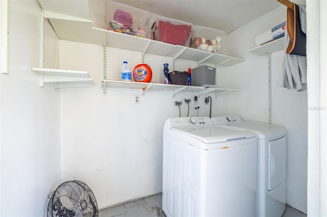 13512 Palmwood Ln Unit 13512, Tampa, FL 33618 - washroom with laundry area and washing machine and clothes dryer