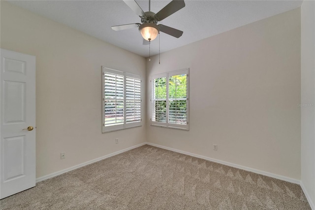 2515 Centennial Falcon Dr, Valrico, FL 33596 - photo 46