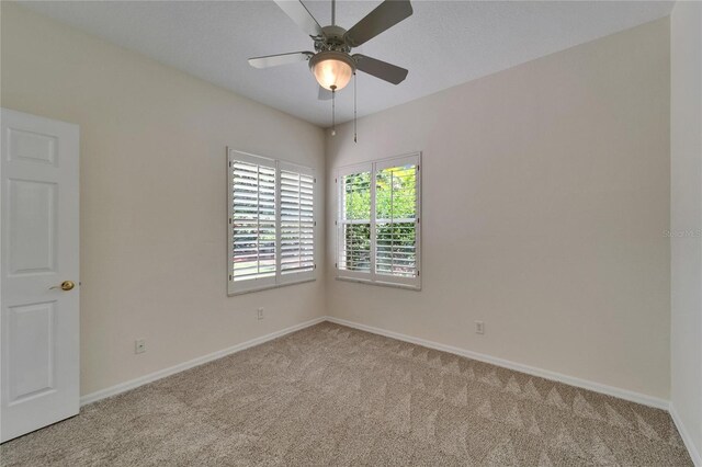 2515 Centennial Falcon Dr, Valrico, FL 33596 - photo 47