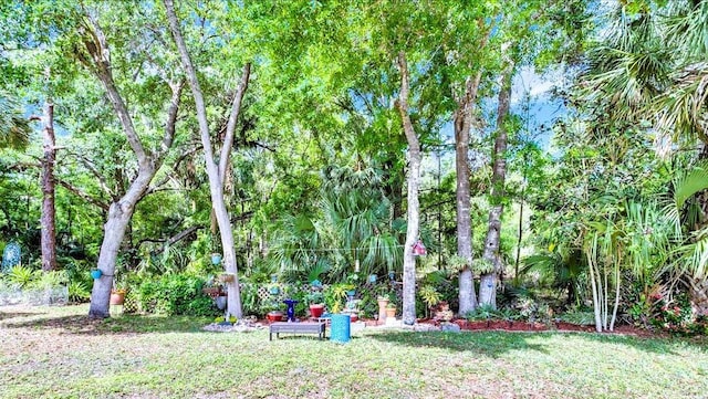 8202 Pinewood Run Ct, Tampa, FL 33647 - view of grassy yard
