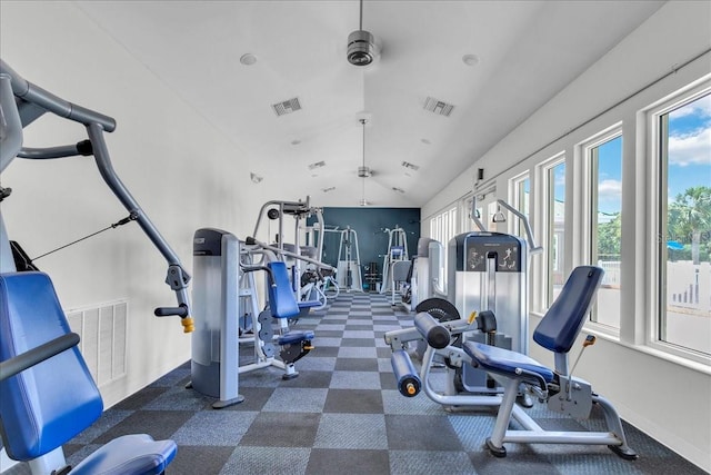 8202 Pinewood Run Ct, Tampa, FL 33647 - workout area featuring lofted ceiling and carpet floors