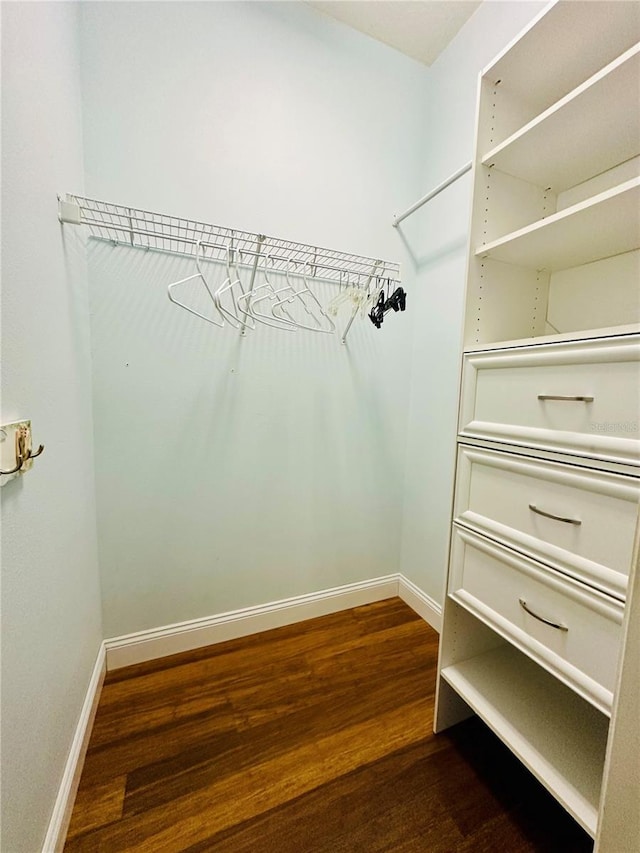 8202 Pinewood Run Ct, Tampa, FL 33647 - walk in closet with dark wood-style floors
