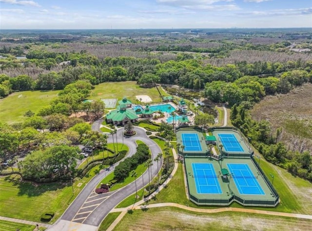 8202 Pinewood Run Ct, Tampa, FL 33647 - bird's eye view of a heavily wooded area and a pool