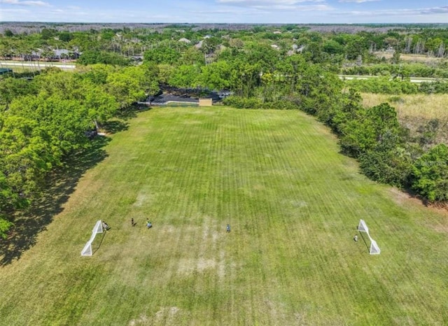 8202 Pinewood Run Ct, Tampa, FL 33647 - aerial view of property's location