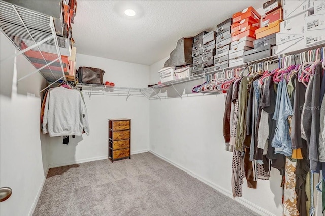 11476 Sage Canyon Dr, Riverview, FL 33578 - walk in closet with carpet floors