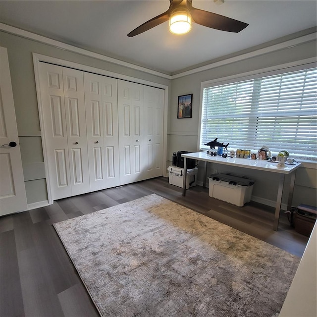 213 Sheffield Cir E, Palm Harbor, FL 34683 - home office featuring ceiling fan, dark wood-style floors, and ornamental molding