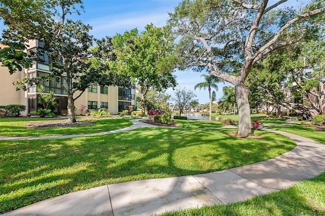 view of property's community featuring a yard