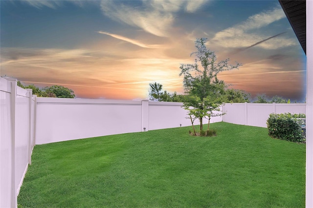 20659 Drake Elm Dr, Land O Lakes, FL 34638 - view of yard