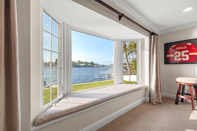 935 Eden Isle Dr NE, Saint Petersburg, FL 33704 - photo 37