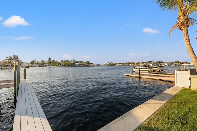 935 Eden Isle Dr NE, Saint Petersburg, FL 33704 - photo 66