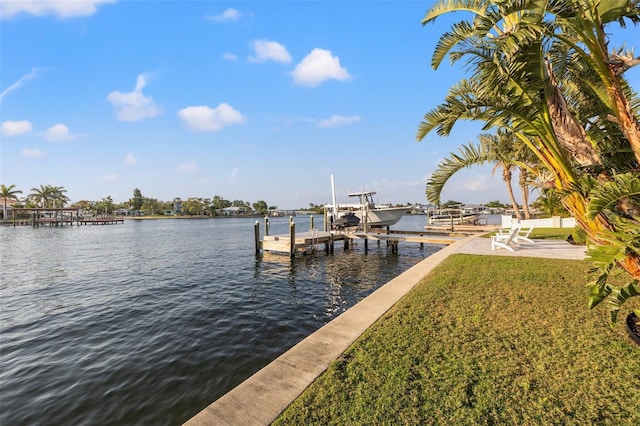 935 Eden Isle Dr NE, Saint Petersburg, FL 33704 - photo 71