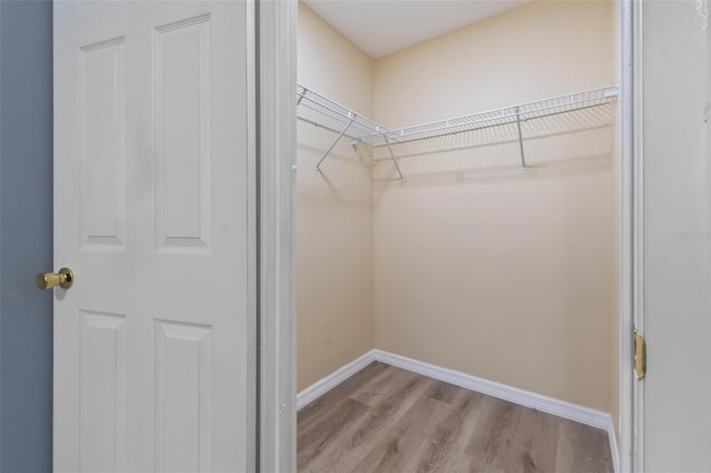 walk in closet with wood finished floors