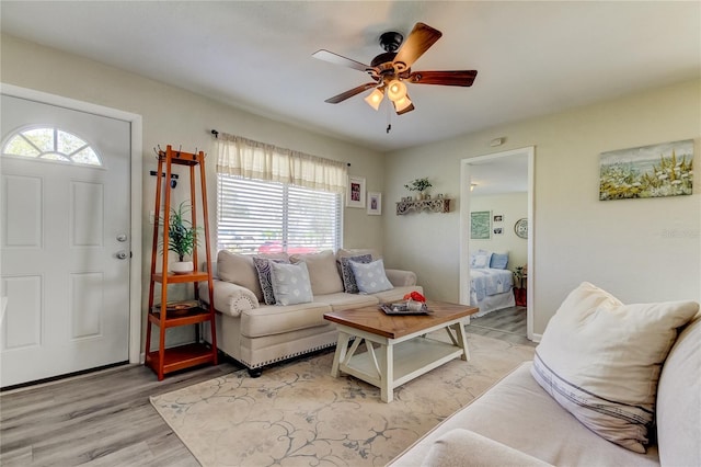 1142 56th Ave N, Saint Petersburg, FL 33703 - photo 7