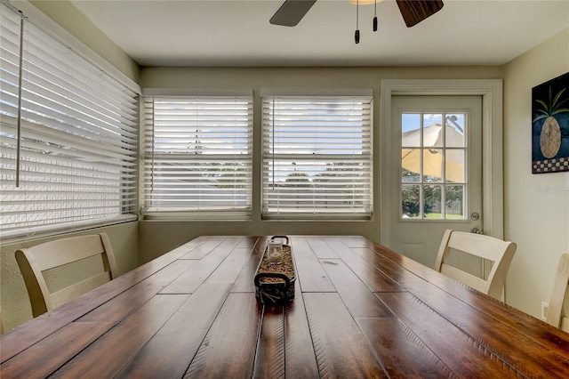 1142 56th Ave N, Saint Petersburg, FL 33703 - photo 25