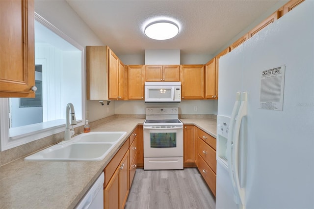 404 Fulham Ct Unit A, Sun City Center, FL 33573 - photo 8