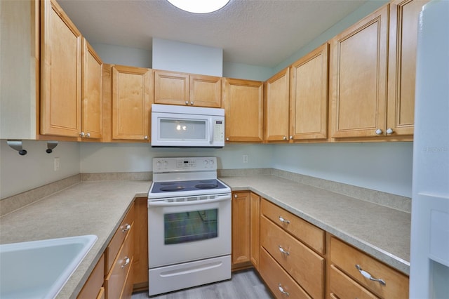 404 Fulham Ct Unit A, Sun City Center, FL 33573 - photo 9