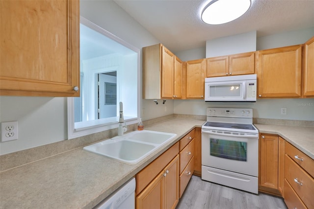 404 Fulham Ct Unit A, Sun City Center, FL 33573 - photo 10