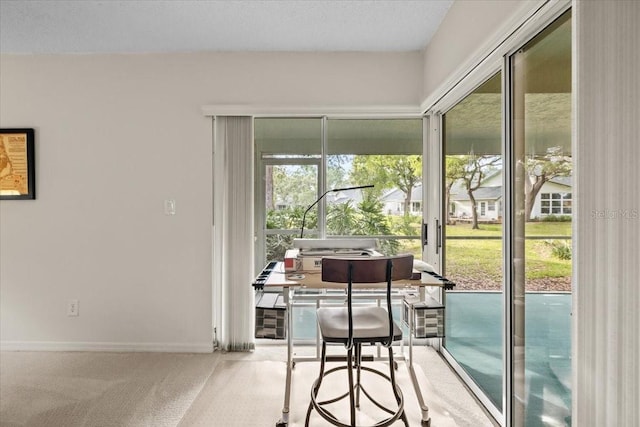 235 Woodridge Cir, Oldsmar, FL 34677 - interior space with baseboards