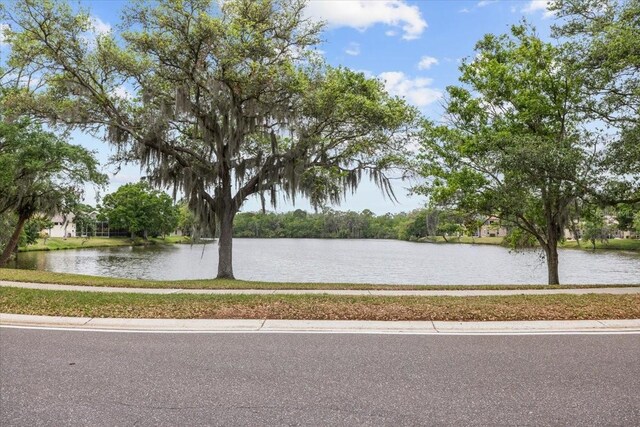 235 Woodridge Cir, Oldsmar, FL 34677 - water view