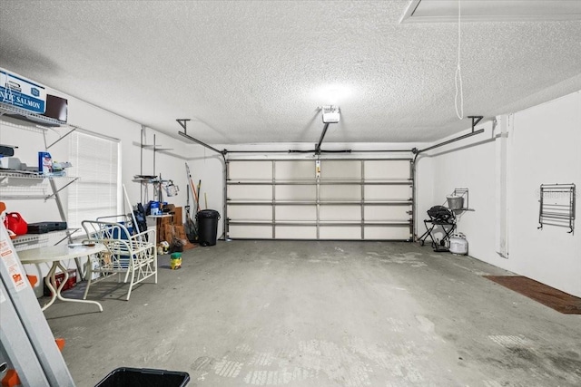 235 Woodridge Cir, Oldsmar, FL 34677 - view of garage