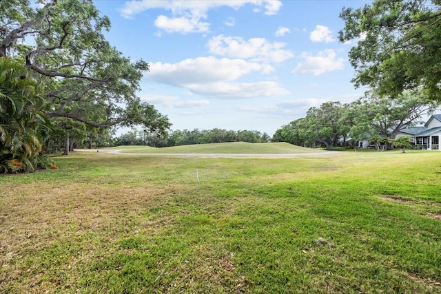 235 Woodridge Cir, Oldsmar, FL 34677 - view of yard