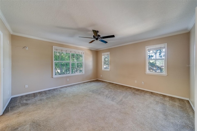 11386 Churchhill Trl, Seminole, FL 33772 - carpeted empty room featuring crown molding, ceiling fan, a textured ceiling, and a healthy amount of sunlight
