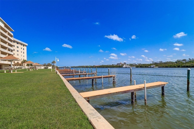 dock area with a yard and a water view