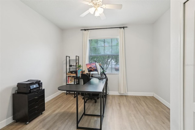304 Shell Manor Dr, Ruskin, FL 33570 - photo 15