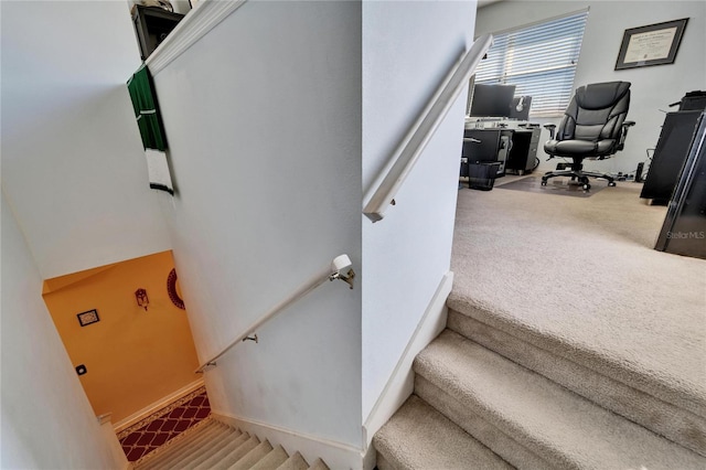 stairs with carpet floors