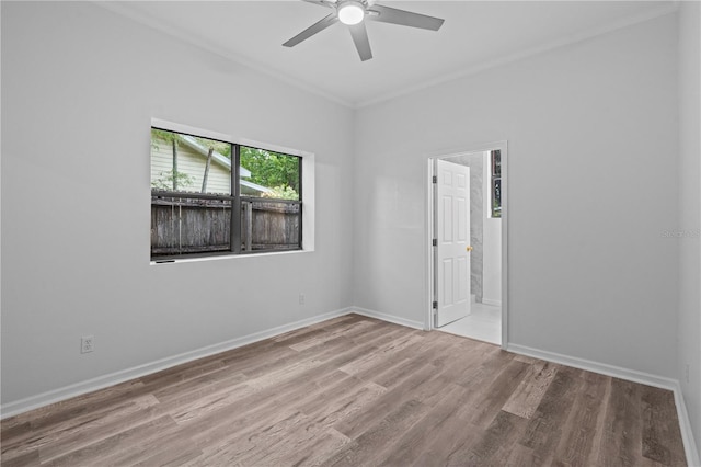 4410 19th St N, Saint Petersburg, FL 33714 - photo 14