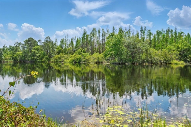 property view of water featuring a wooded view