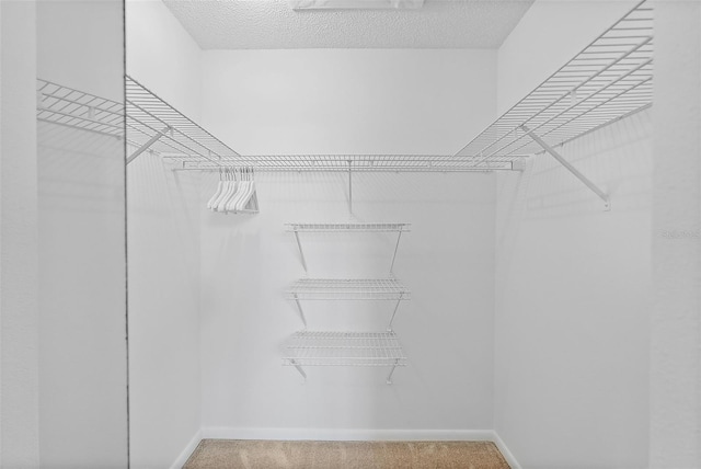 6191 Bahia Del Mar Blvd Unit 204, Saint Petersburg, FL 33715 - spacious closet featuring carpet flooring