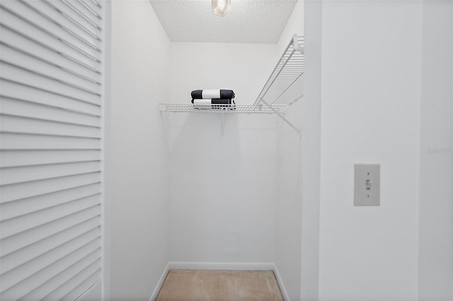 6191 Bahia Del Mar Blvd Unit 204, Saint Petersburg, FL 33715 - view of walk in closet