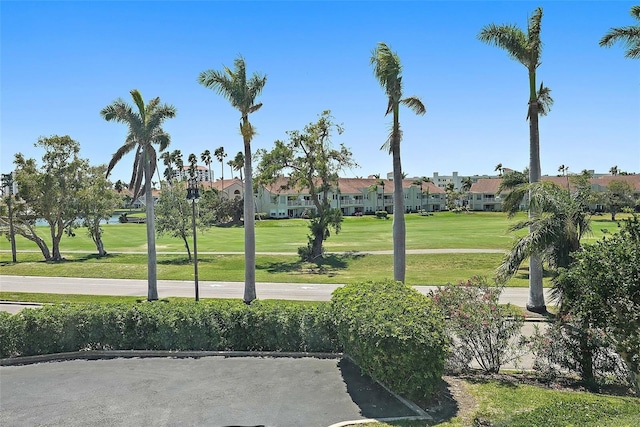6191 Bahia Del Mar Blvd Unit 204, Saint Petersburg, FL 33715 - view of property's community with a residential view and a lawn