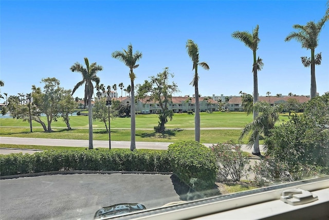6191 Bahia Del Mar Blvd Unit 204, Saint Petersburg, FL 33715 - view of home's community featuring a yard and a residential view