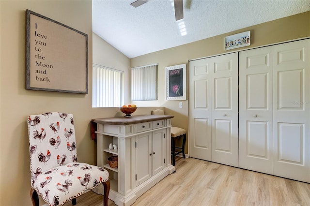 612 Fairmont Ave Unit D, Safety Harbor, FL 34695 - living area featuring light wood-style flooring, a textured ceiling, a ceiling fan, and vaulted ceiling