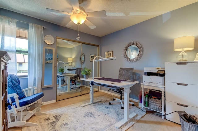 612 Fairmont Ave Unit D, Safety Harbor, FL 34695 - carpeted home office featuring ceiling fan, baseboards, and a textured ceiling