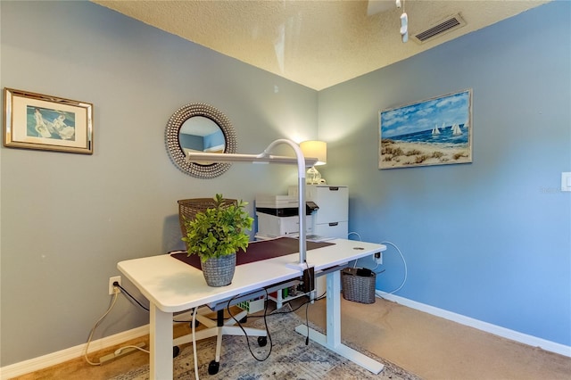 612 Fairmont Ave Unit D, Safety Harbor, FL 34695 - carpeted office space featuring visible vents, baseboards, and a textured ceiling