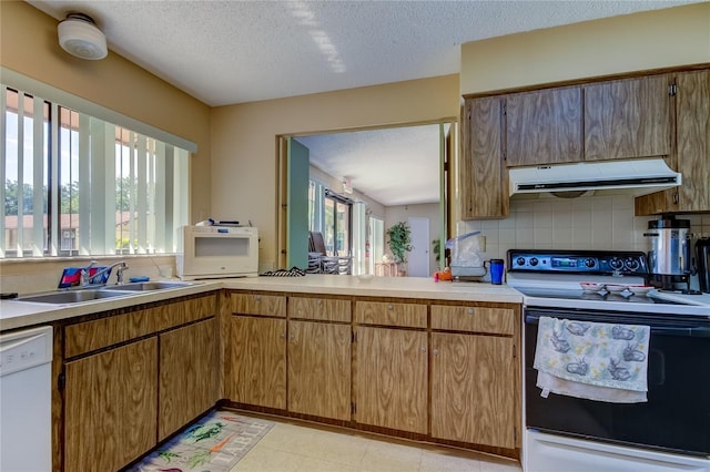 612 Fairmont Ave Unit D, Safety Harbor, FL 34695 - kitchen featuring range hood, white dishwasher, a sink, a wealth of natural light, and electric range