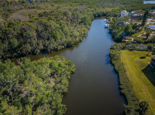 1686 Seascape Cir, Tarpon Springs, FL 34689 - photo 5
