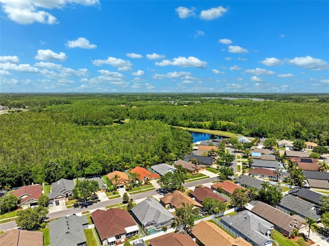 19750 Ellendale Dr, Land O Lakes, FL 34638 - aerial view of residential area featuring a forest and a large body of water