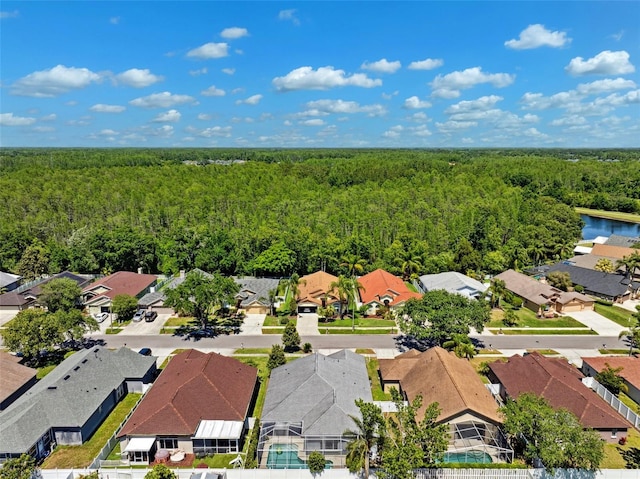 19750 Ellendale Dr, Land O Lakes, FL 34638 - aerial view of residential area with a heavily wooded area