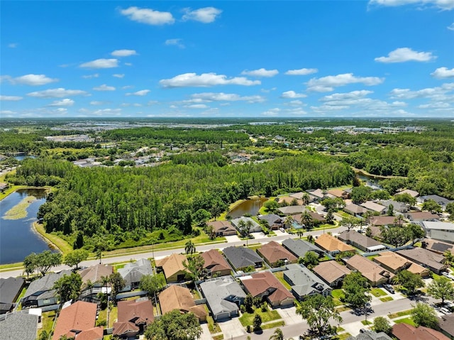 19750 Ellendale Dr, Land O Lakes, FL 34638 - aerial perspective of suburban area with a nearby body of water