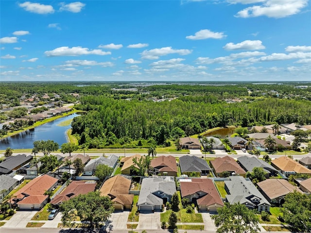 19750 Ellendale Dr, Land O Lakes, FL 34638 - aerial perspective of suburban area with a large body of water
